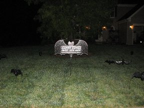 Bats Full Display