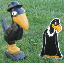Buzzards/Crows Combo -