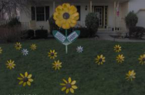 Daisy Full Display