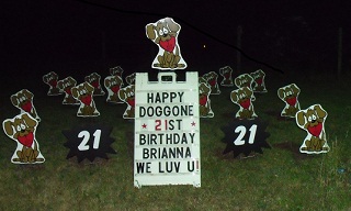 Puppy Love Puppies Full Display