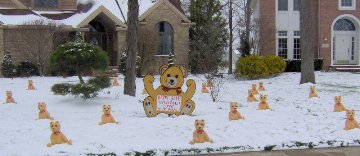 Tan Teddy Bears - Full Display