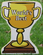 2D 'World's Best' Trophies