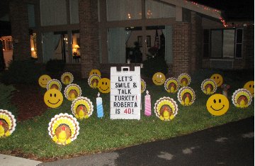 3D Turkey Full Display