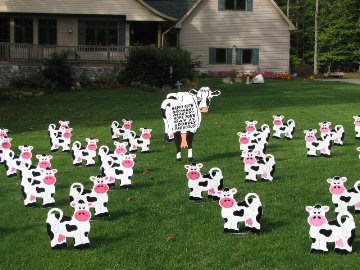 2D Cutesy Cow Display