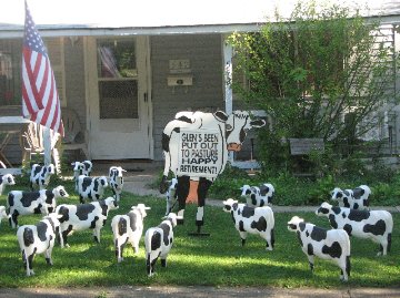 3D Cow Display