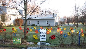 2D Flower and Bugs Display
