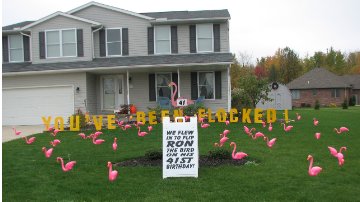 3D Flamingo Flocking with Lawn Letters