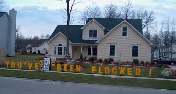 3D Flamingo Flocking with Lawn Letters