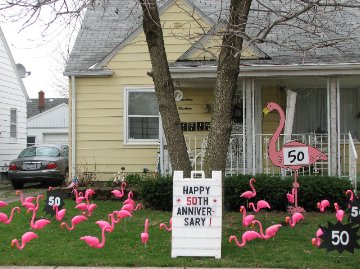 3D Flamingo Flocking