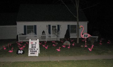 3D Flamingo Flocking