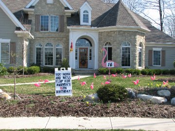 3D Flamingo Flocking with Lawn Letters