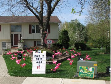 3D Flamingo Flocking with Lawn Letters