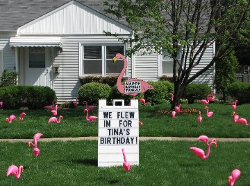 3D Flamingo Flocking