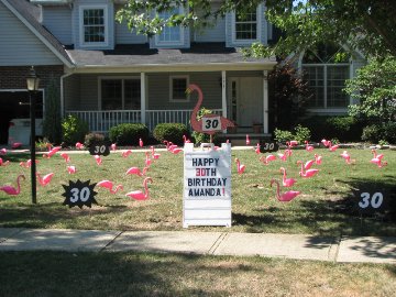 3D Flamingo Flocking