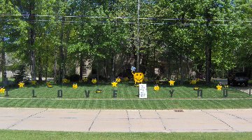 2D Graduation Smiley Face Display
