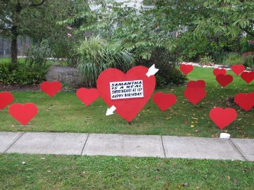 2D Heart Display
