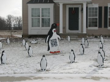 3D Penguin Display