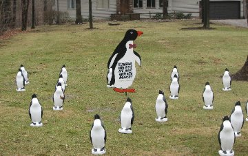 3D Penguin Display