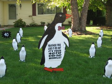 3D Penguin Display