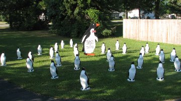 3D Penguin Display