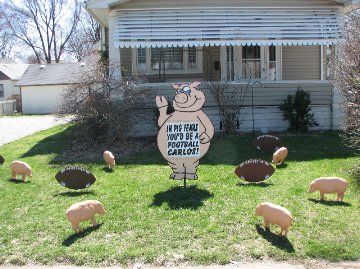 3D Pigs Display