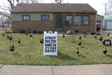 3D Rooster Display