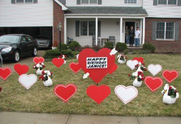 3D Swans/2D Hearts Display