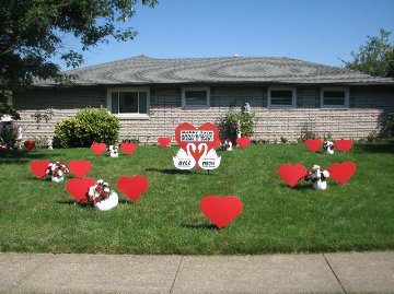 3D Swan/2D Hearts Full Display