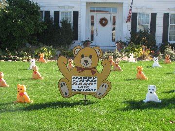 3D Teddy Bear Display