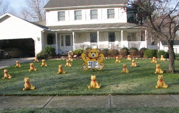 3D Teddy Bear Display