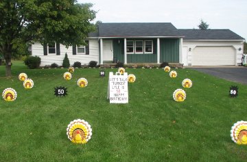 3D Turkey Display